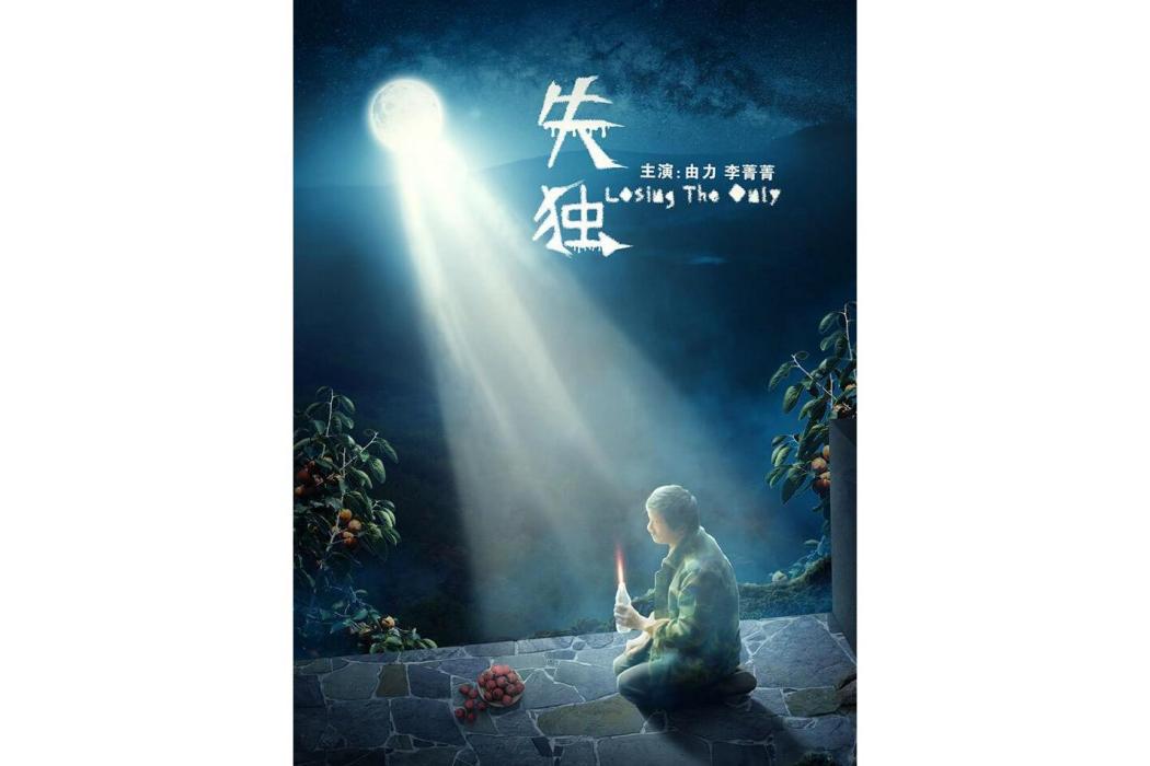 失獨(2020年鐘海執導的電影) 失獨(2020年鐘海執導的電影)