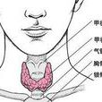 涼結節 涼結節