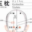 玉枕穴 玉枕穴