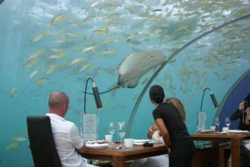 海底餐館