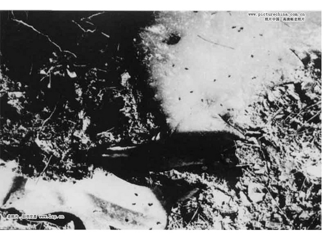 美軍投擲細菌彈，彈體裡的蒼蠅等散落在彈皮上、冰上