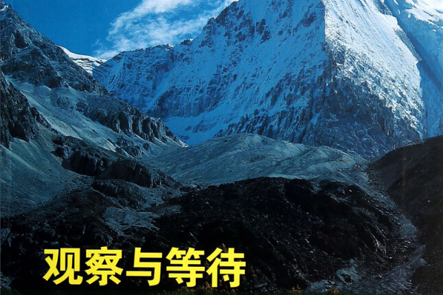 觀察與等待 觀察與等待