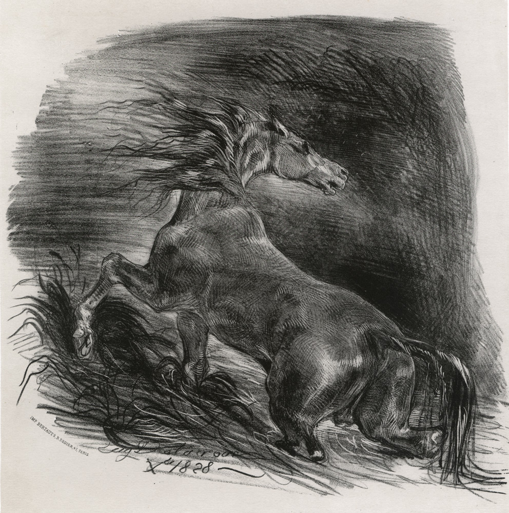 歐仁·德拉克羅瓦作品 - 《野馬》