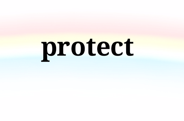 protect(英語單詞)