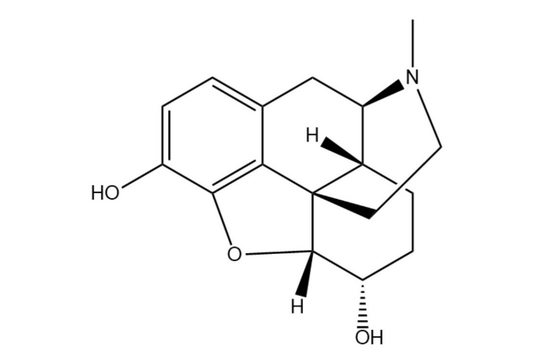 飽嗎啡 飽嗎啡