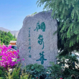 顧家善村