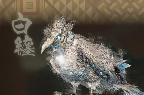 白纏鴉 白纏鴉