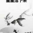 星星落下來 星星落下來
