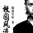 葉星辰(小說角色) 葉星辰(小說角色)