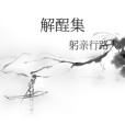 解酲集 解酲集