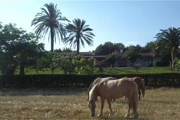 Santa Igia B&B - Country House Santa Igia B&B - Country House