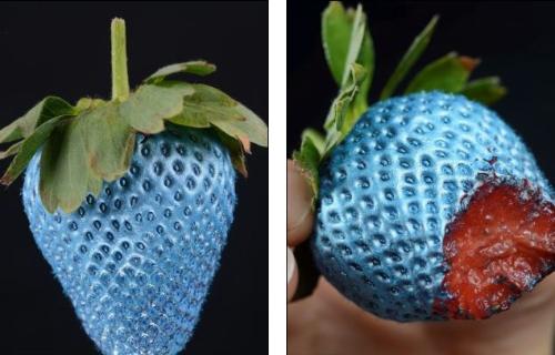 噴了藍漆的草莓