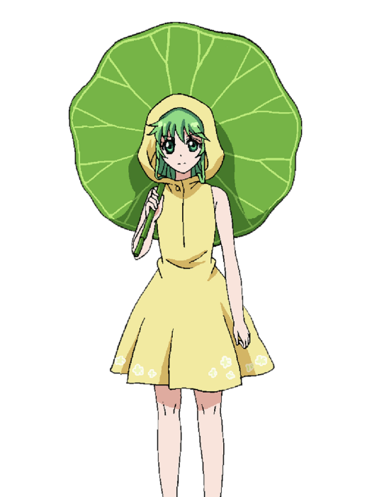 銀花羽 銀花羽