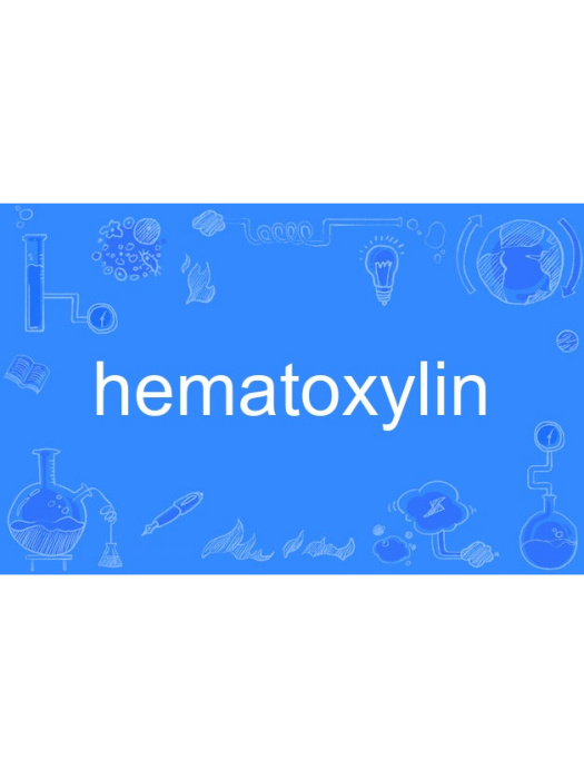 hematoxylin hematoxylin