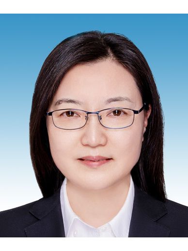 陳琪(江西省宜春市審計局二級調研員) 陳琪(江西省宜春市審計局二級調研員)