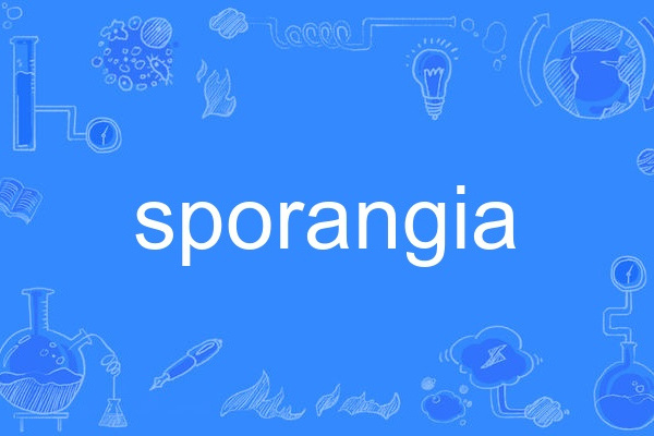 sporangia sporangia