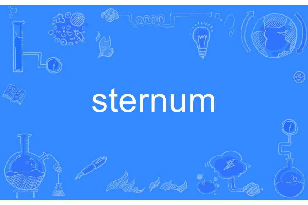 sternum sternum