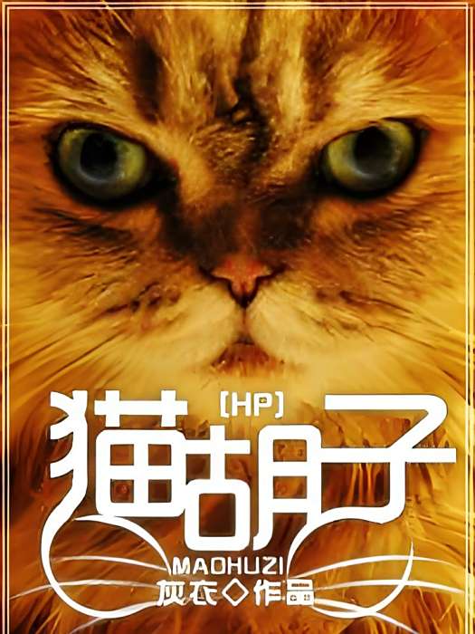 [HP]貓鬍子
