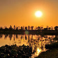白雲湖公園(廣東省廣州市公園) 白雲湖公園(廣東省廣州市公園)