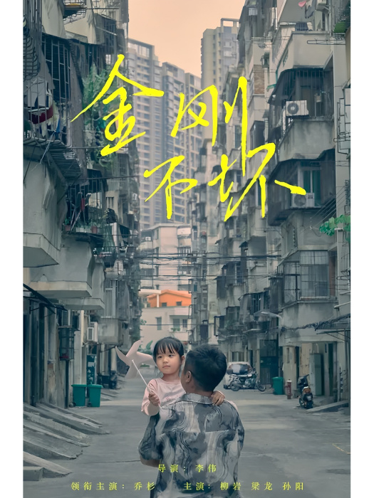 金剛不壞(2024年李偉執導的電影)