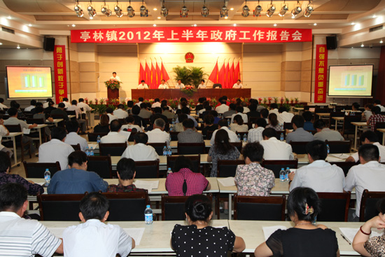 亭林鎮召開2012年半年度政府工作報告會