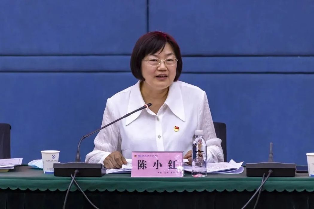 陳小紅(成都航空職業技術學院黨委書記) 陳小紅(成都航空職業技術學院黨委書記)