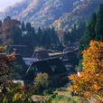 合掌造 合掌造