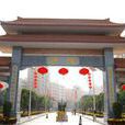 沙嘴村(深圳沙嘴村) 沙嘴村(深圳沙嘴村)