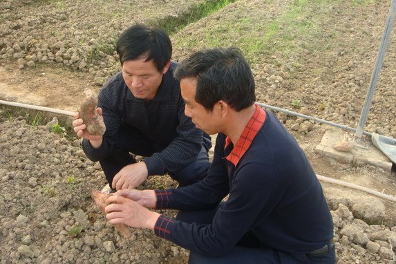 宋仁德(縣農業局高級農業師) 宋仁德(縣農業局高級農業師)