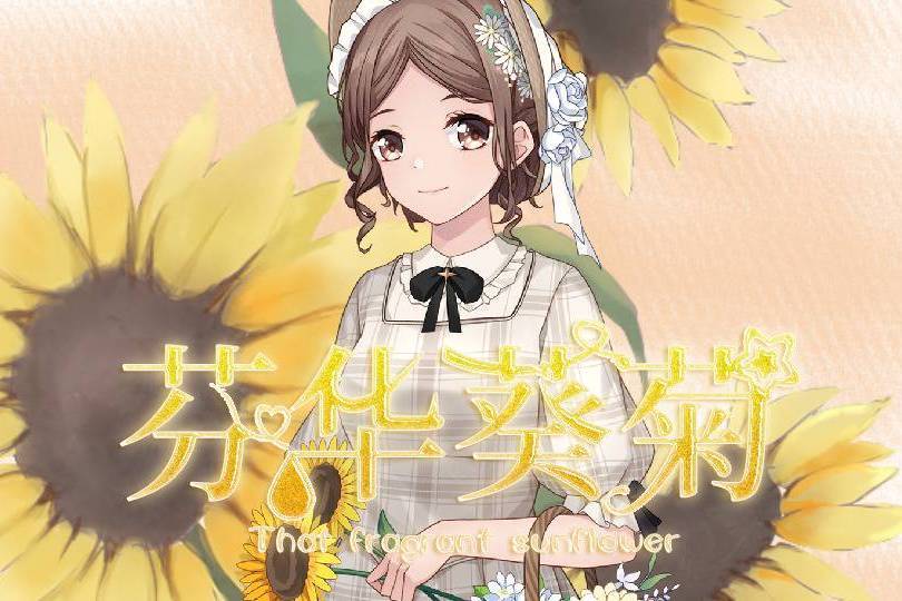 芬華葵菊 芬華葵菊