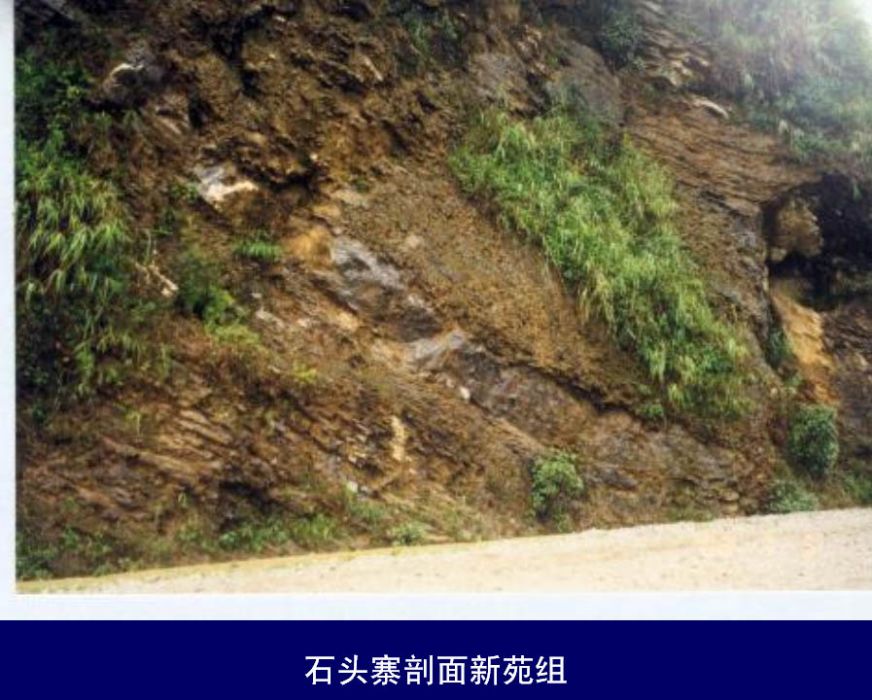 殼灰岩統 殼灰岩統