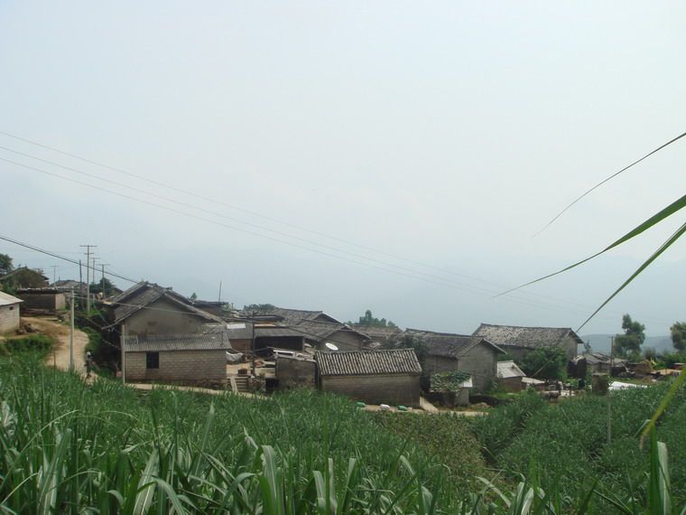 它代村 它代村