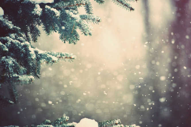 殘雪飄落 殘雪飄落