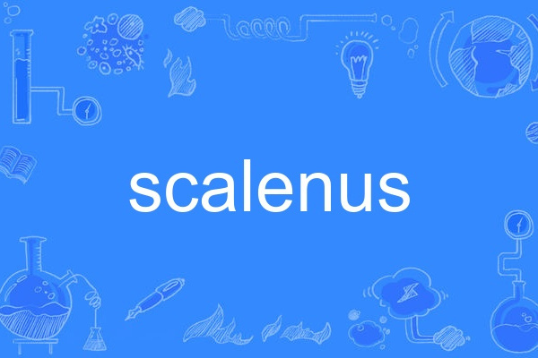 scalenus scalenus