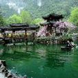 桃源驚夢(騰格爾主演微電影) 桃源驚夢(騰格爾主演微電影)