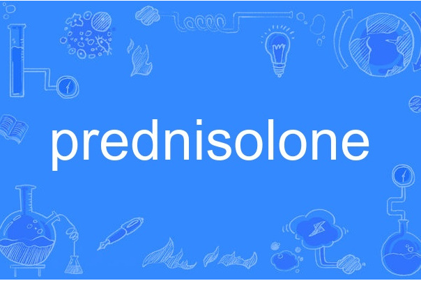 prednisolone prednisolone