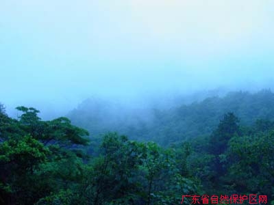 廣東西江爛柯山省級自然保護區