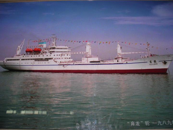 育龍輪 育龍輪