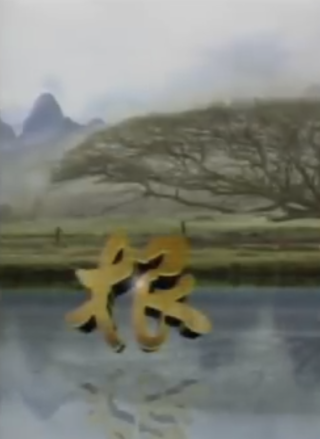 張晨光 張晨光