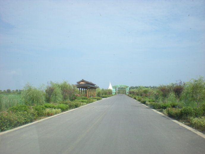 濕地大道 濕地大道