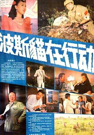 張秋歌 張秋歌