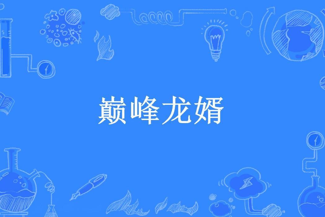 巔峰龍婿(大夢天弓所著小說) 巔峰龍婿(大夢天弓所著小說)