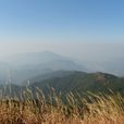天堂頂 天堂頂