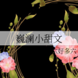 巍瀾小甜文 巍瀾小甜文