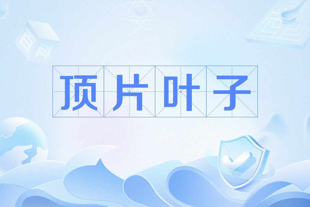 頂片葉子 頂片葉子