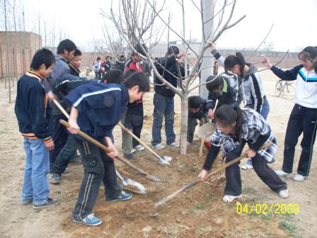 九門回族鄉中學實習生組織開展植樹活動