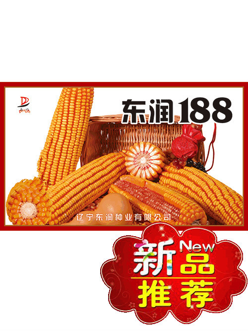 東潤188 東潤188