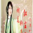 煙花柳巷 煙花柳巷