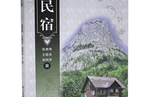 民宿(2021年吉林科學技術出版社出版的圖書) 民宿(2021年吉林科學技術出版社出版的圖書)
