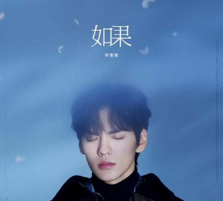 如果(畢雯珺演唱歌曲) 如果(畢雯珺演唱歌曲)